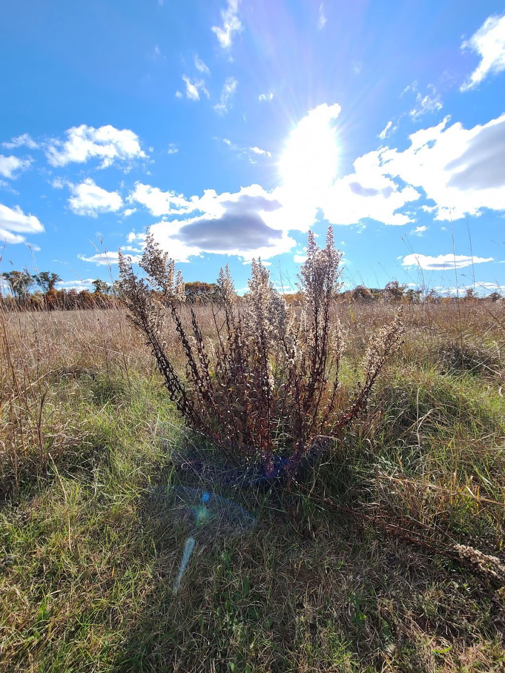 Fish Lake Nature Trails | 23603-23699 Durant St NE, East Bethel, MN 55005, USA | Phone: (612) 301-2600