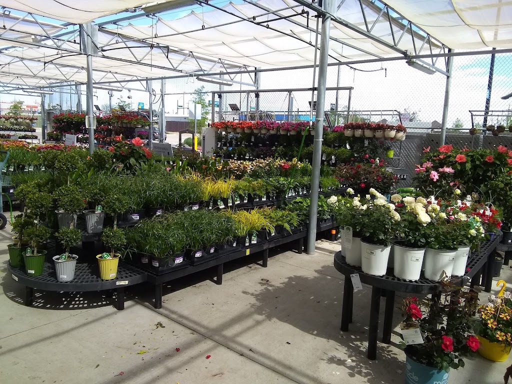 Walmart Garden Center | 701 W Princeton Dr, Princeton, TX 75407, USA | Phone: (972) 736-6491