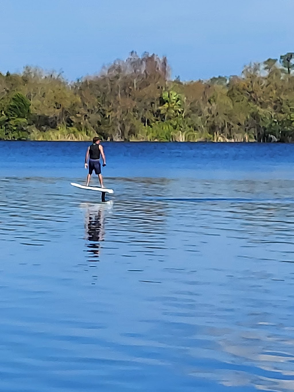 A.L. Anderson Park | 39699 US Hwy 19 N, Tarpon Springs, FL 34689, USA | Phone: (727) 582-2100