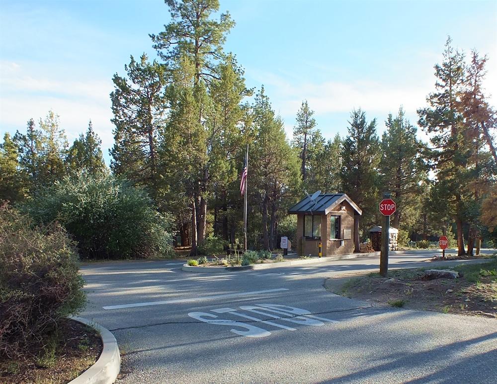 Serrano Campground | 40650 N Shore Dr, Fawnskin, CA 92333, USA | Phone: (909) 866-8550