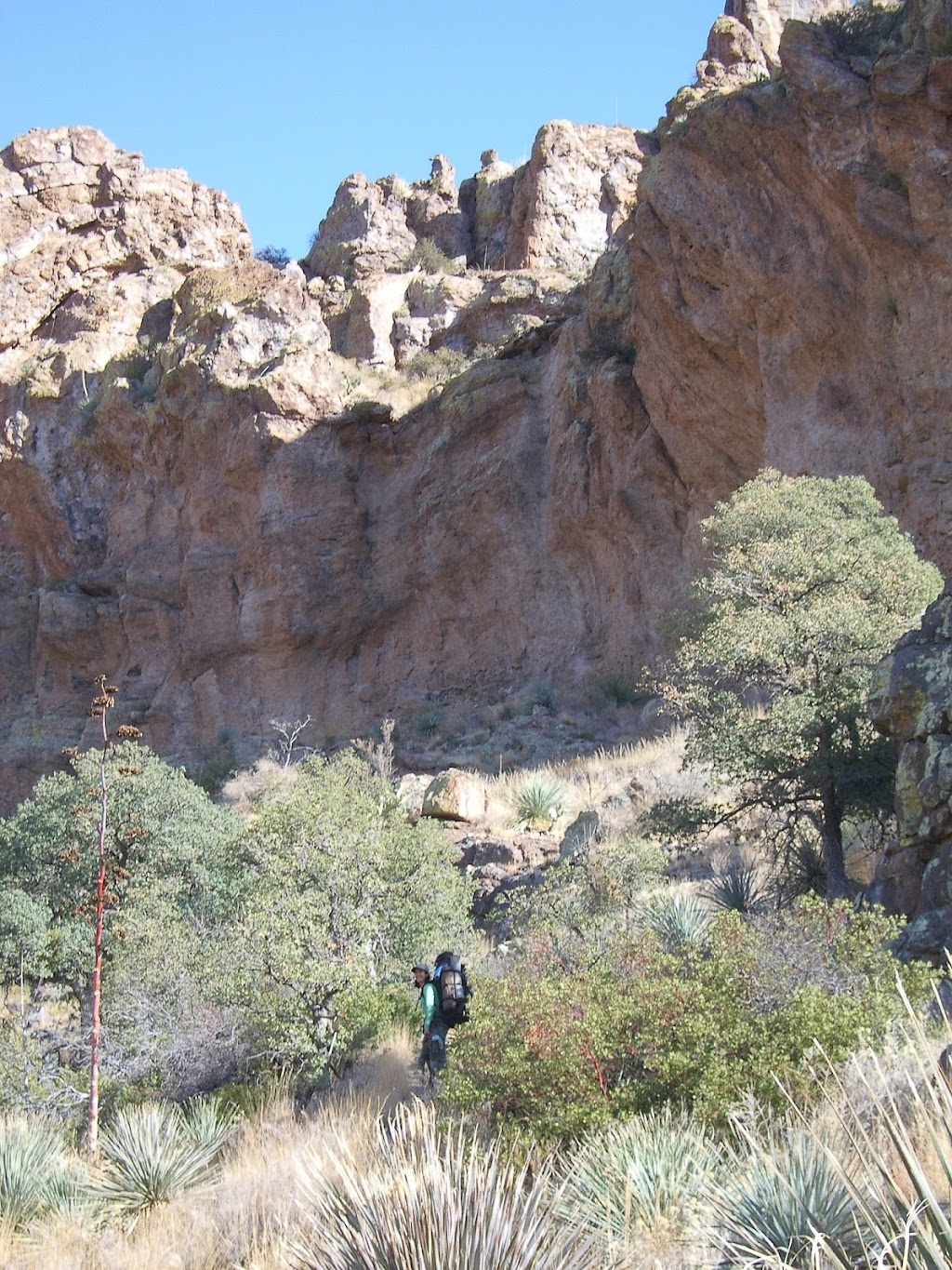 Redfield Canyon Wilderness | Willcox, AZ 85643 | Phone: (928) 348-4400