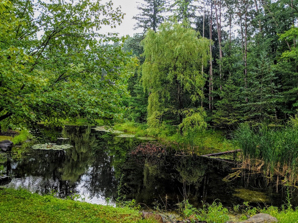 Kenneglenn Scenic and Nature Preserve | 11663 Strykersville Rd, East Aurora, NY 14052, USA | Phone: (716) 687-1225