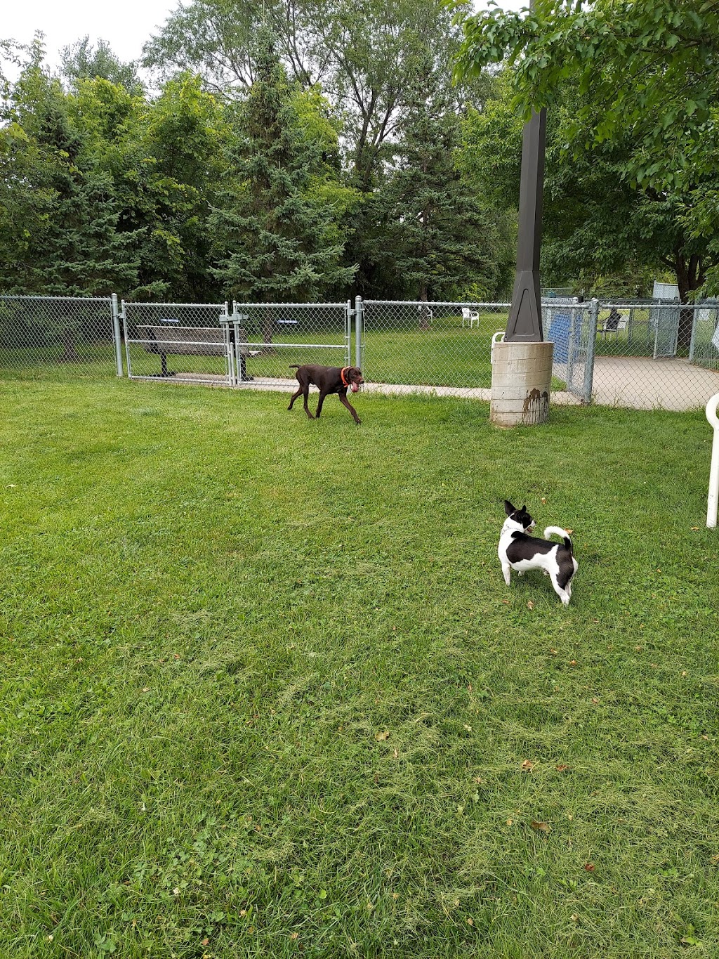 Edina Dog Park | Unnamed Road, Hopkins, MN 55343, USA | Phone: (952) 826-0367