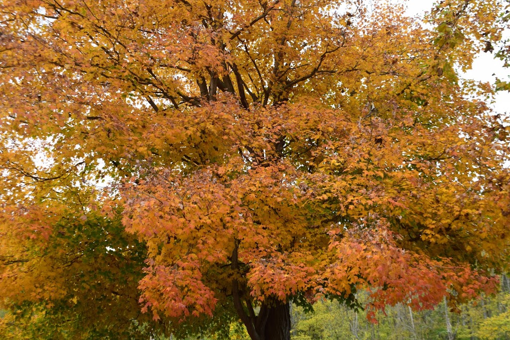 Indian Creek MetroPark Oxford-Reily Road Entrance | 1899 Oxford Reily Rd, Oxford, OH 45056, USA | Phone: (513) 867-5835