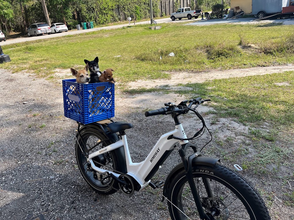 Zoo Keeper Bike | 4195 W New Haven Ave #4, Melbourne, FL 32904, USA | Phone: (321) 577-4535