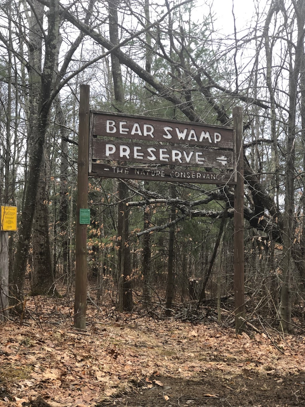 Bear Swamp Preserve | 899 Co Rd 404, Westerlo, NY 12193, USA | Phone: (212) 997-1880