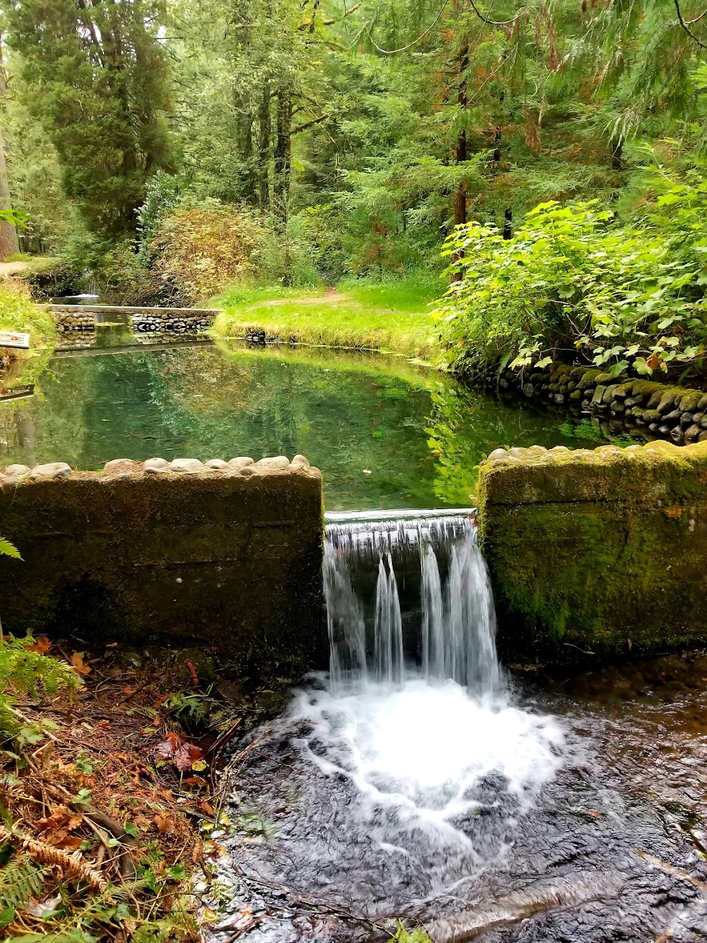 Green River Gorge Resort | 29500 SE Green River Gorge Rd, Enumclaw, WA 98022, USA | Phone: (360) 886-7997