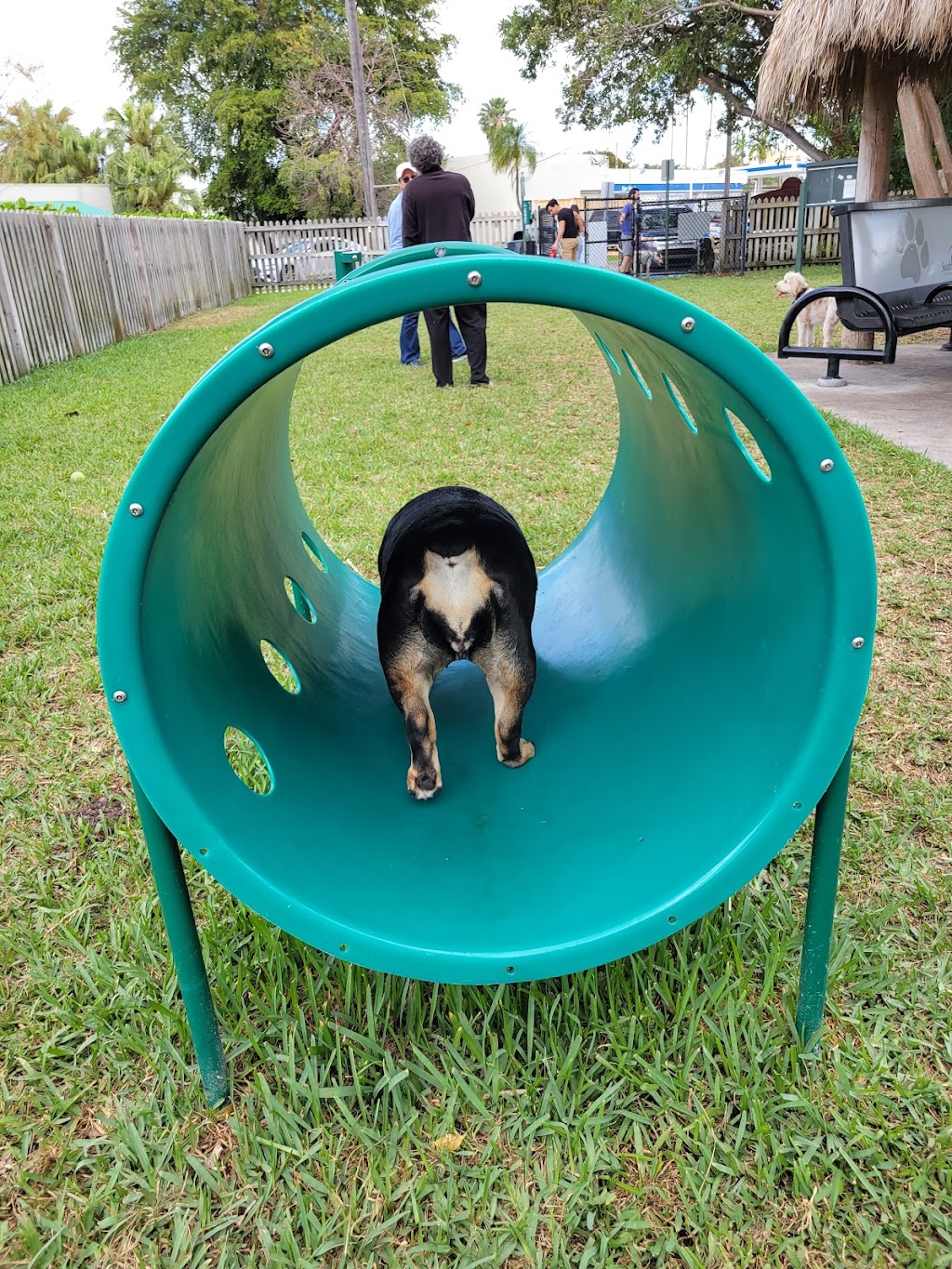 South Miami Dog Park | 6380 SW 78th St, South Miami, FL 33143, USA | Phone: (305) 668-3876