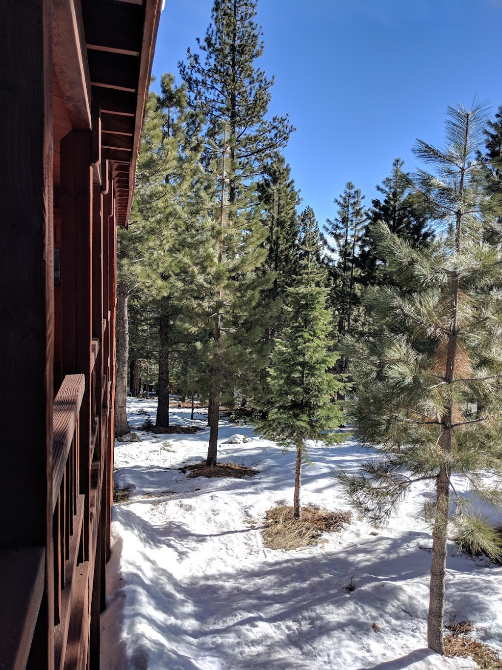 Tahoe Signature Properties | 12315 Deerfield Dr #7, Truckee, CA 96161, USA | Phone: (530) 562-4242