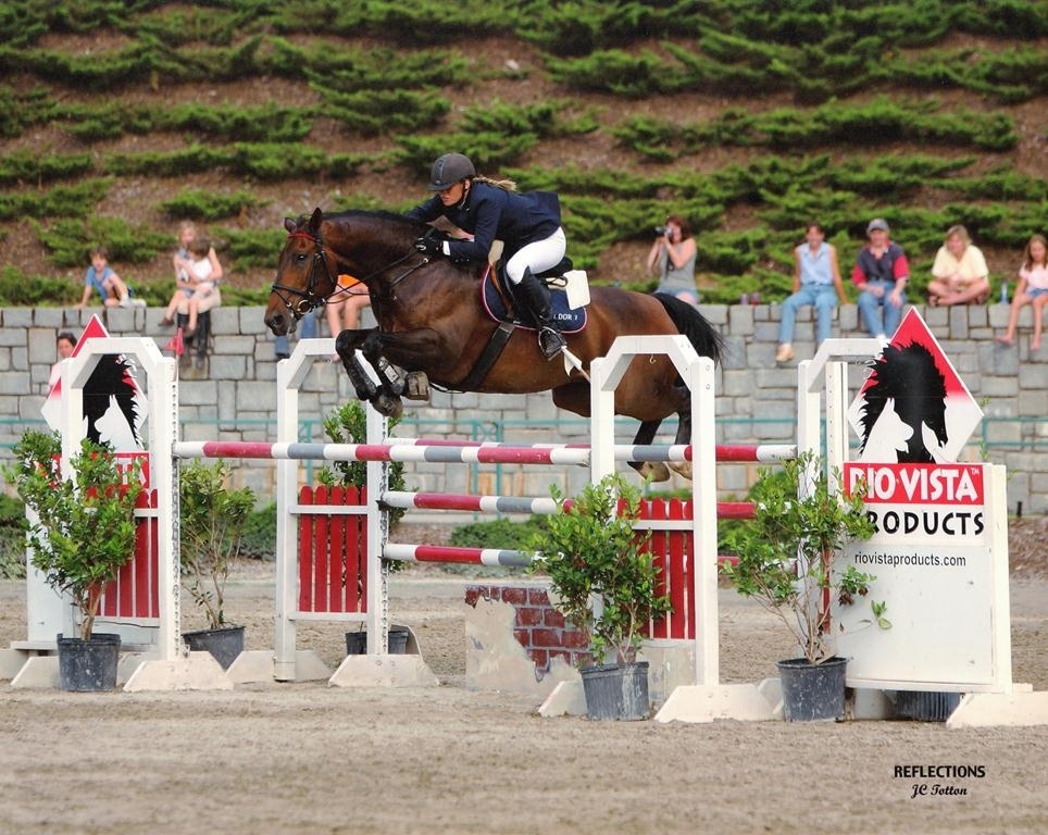 Hidden Oaks Show Jumpers | 500 Oakleaf Trail, Suwanee, GA 30024, USA | Phone: (404) 964-6459