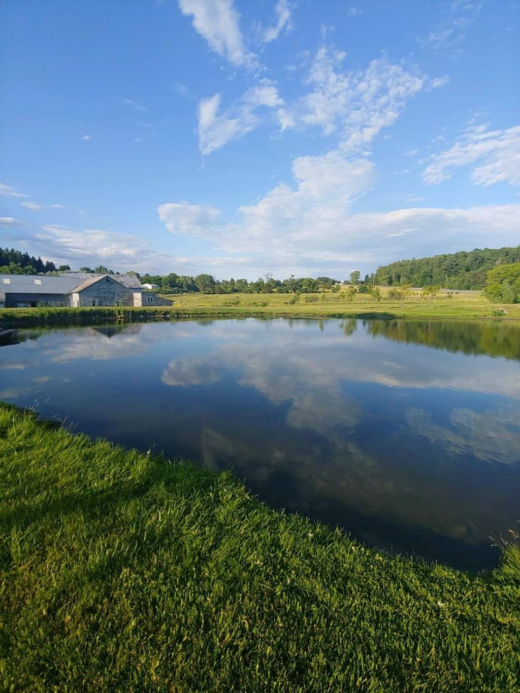 Lucky Duck Farm | 6067 NY-30, Schoharie, NY 12157, USA | Phone: (518) 244-0777