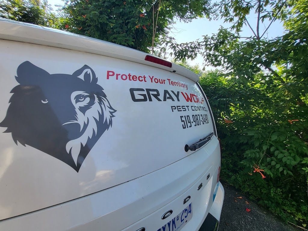 Gray Wolf Pest Control | Canada, 6630 St Michaels Dr, Windsor, ON N9J 3G7, Canada | Phone: (519) 987-3490