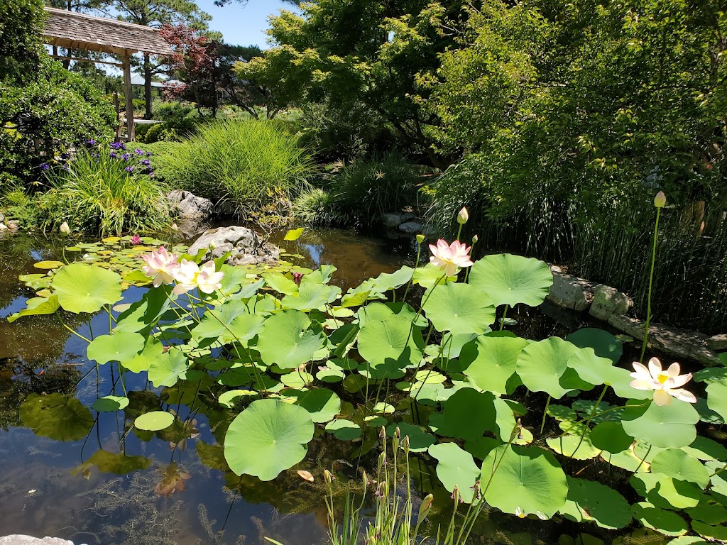 Marigold and Honey Cafe | Botanical Gardens Ac Rd, Norfolk, VA 23518, USA | Phone: (757) 963-2811