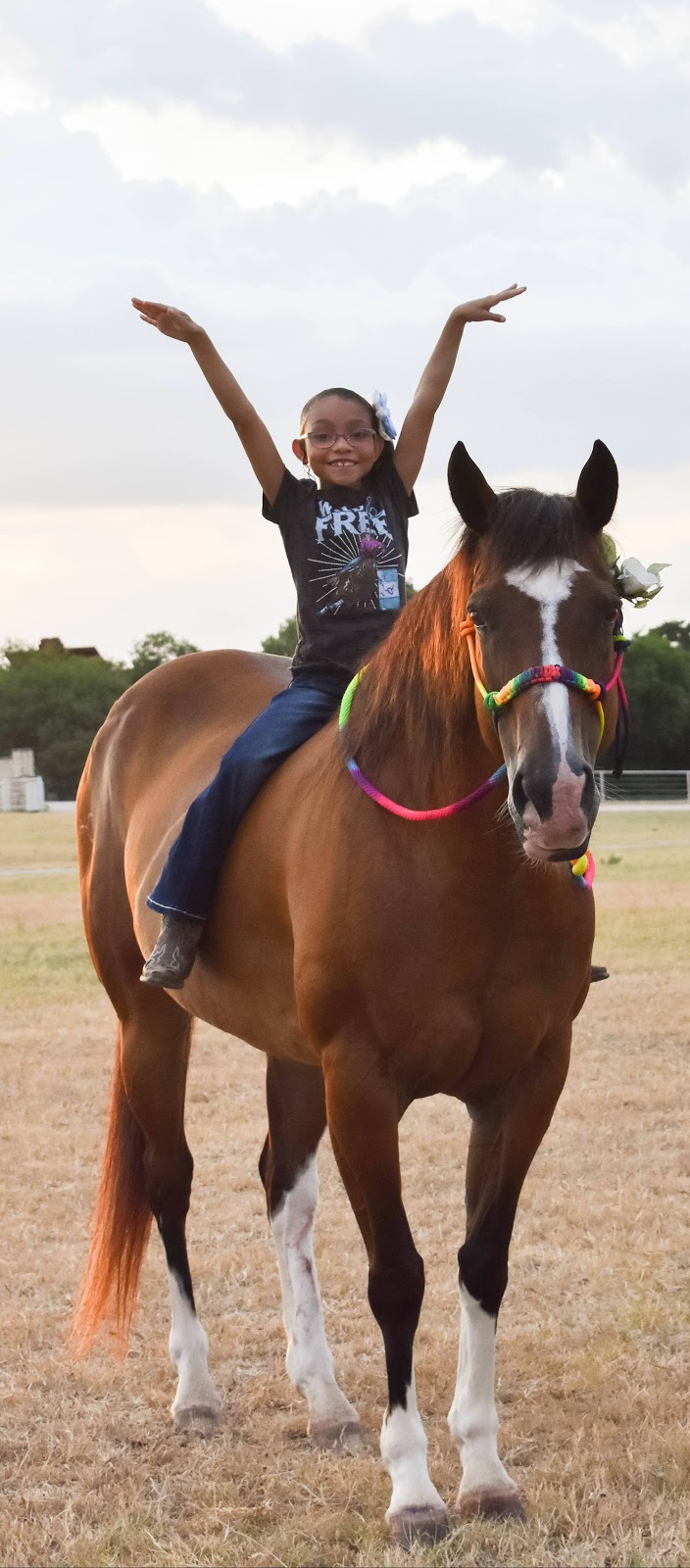 Legend Equestrian Services | 5548 County Rd 907, Godley, TX 76044, USA | Phone: (817) 770-7371