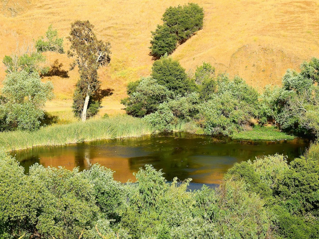 Jordan Pond | Jordan Pond, Hayward, CA 94544, USA | Phone: (510) 582-2206