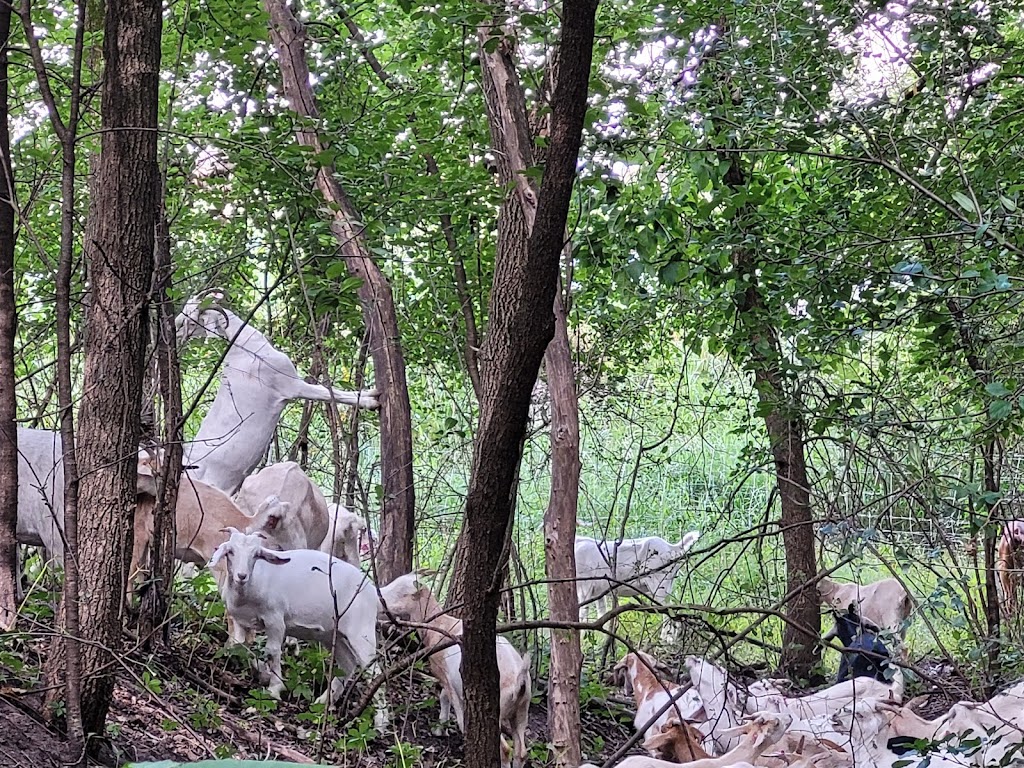 Acewood Park | 1402 Acewood Blvd, Madison, WI 53716, USA | Phone: (608) 266-4711