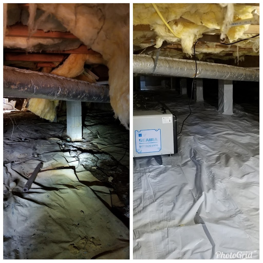 Dependable Pest Control | 6829 Ware House Rd, Gloucester, VA 23061, USA | Phone: (804) 693-5587