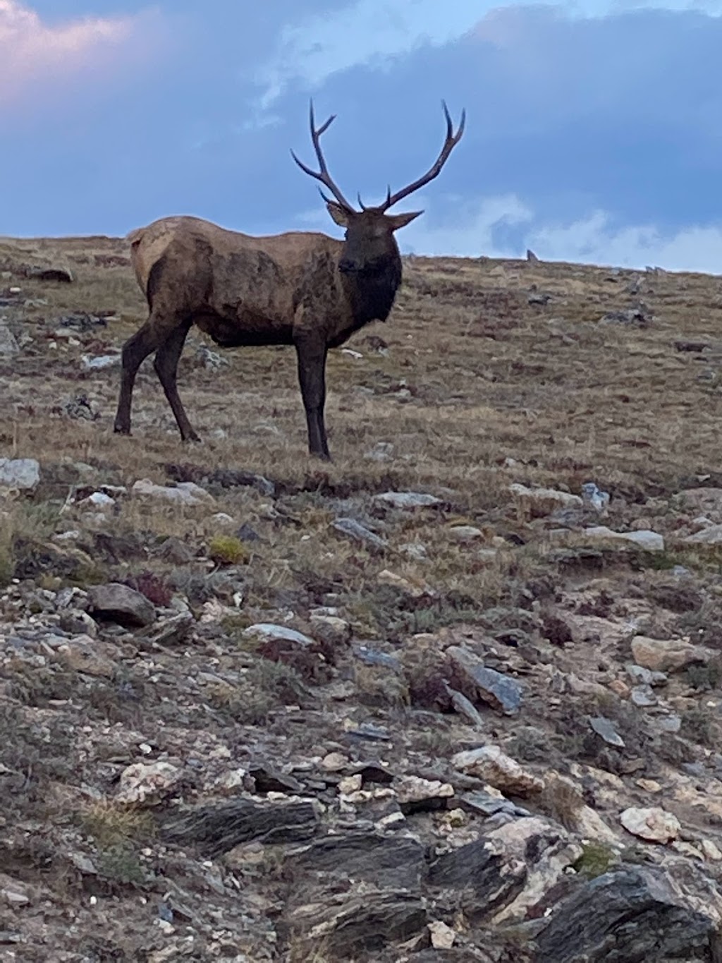 Mountain Wilderness Memorial Park | 118 Arapahoe St, Woodland Park, CO 80863, USA | Phone: (719) 687-0333