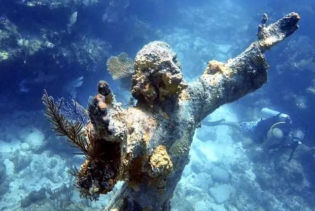 Let It Ride Charters | 104080 Overseas Hwy, Key Largo, FL 33037, USA | Phone: (305) 432-6570