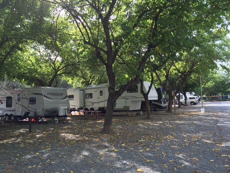 Loomis RV Park | 3945 Taylor Rd, Loomis, CA 95650, USA | Phone: (916) 652-6737