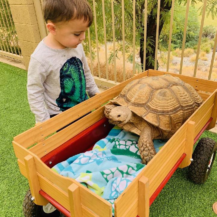 Magical Journey Learning Center | 1241 E Chandler Blvd STE 115, Phoenix, AZ 85048, USA | Phone: (480) 699-6552