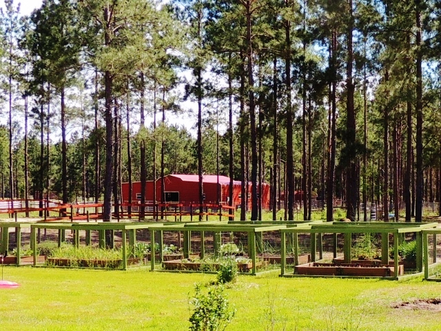 NaVera Farms Home & Gardens | 46480 Sauls Rd, Callahan, FL 32011 | Phone: (904) 879-9203