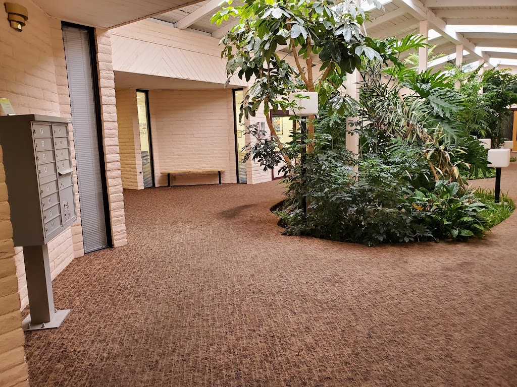 Functional You | 10801 Lomas Blvd NE Ste 100, Albuquerque, NM 87112, USA | Phone: (505) 888-6138