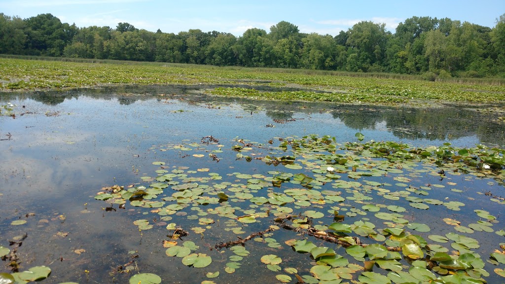 Maplewood Nature Center | 2659 E 7th St, Maplewood, MN 55119 | Phone: (651) 249-2170