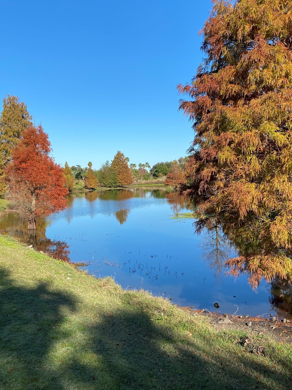 Mangrove Bay and Cypress Links Golf Courses | 875 62nd Ave NE, St. Petersburg, FL 33702 | Phone: (727) 893-7800