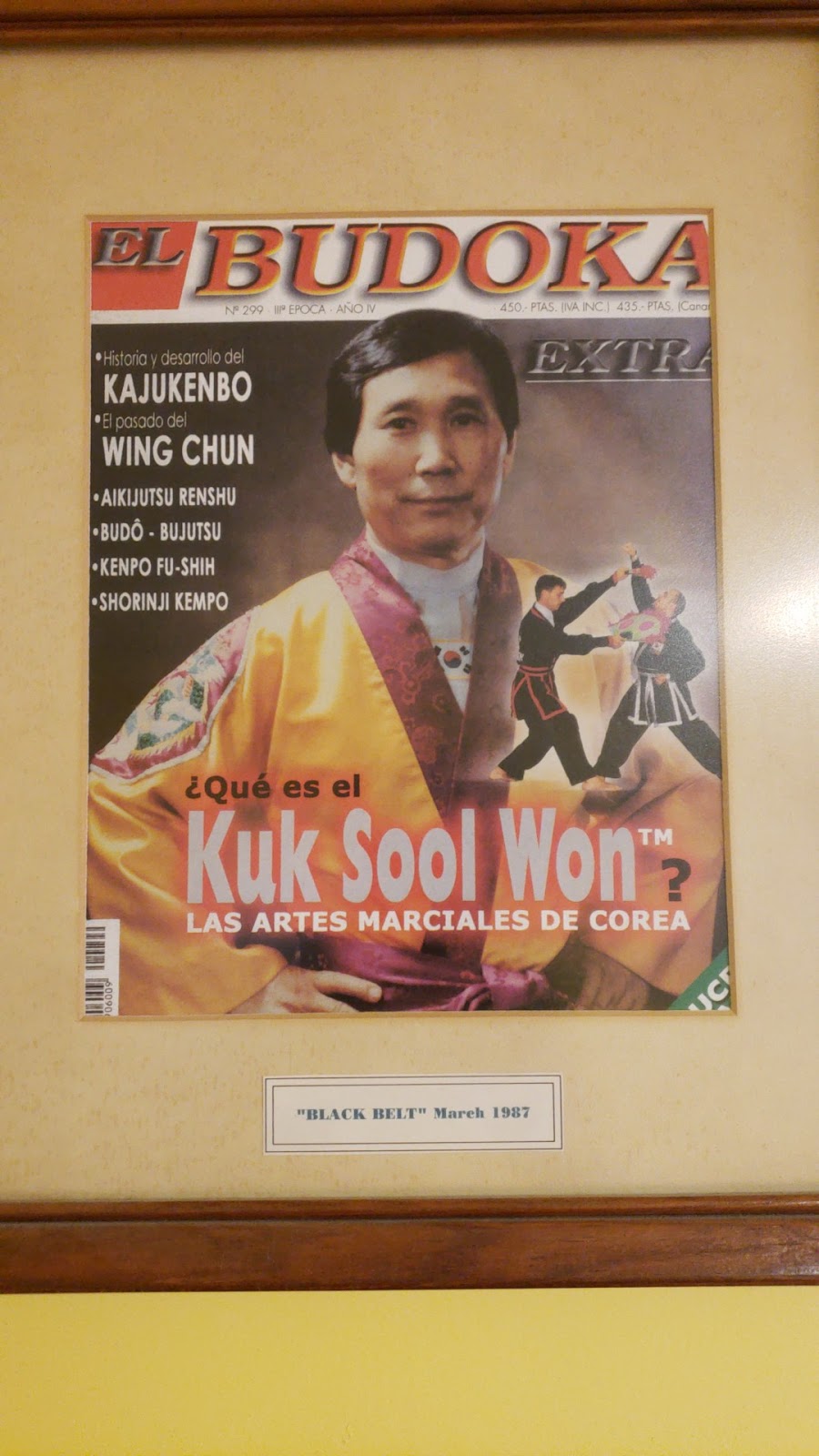Kuk Sool Won of Kingwood | 910 Russell Palmer Rd, Kingwood, TX 77339, USA | Phone: (281) 359-5425