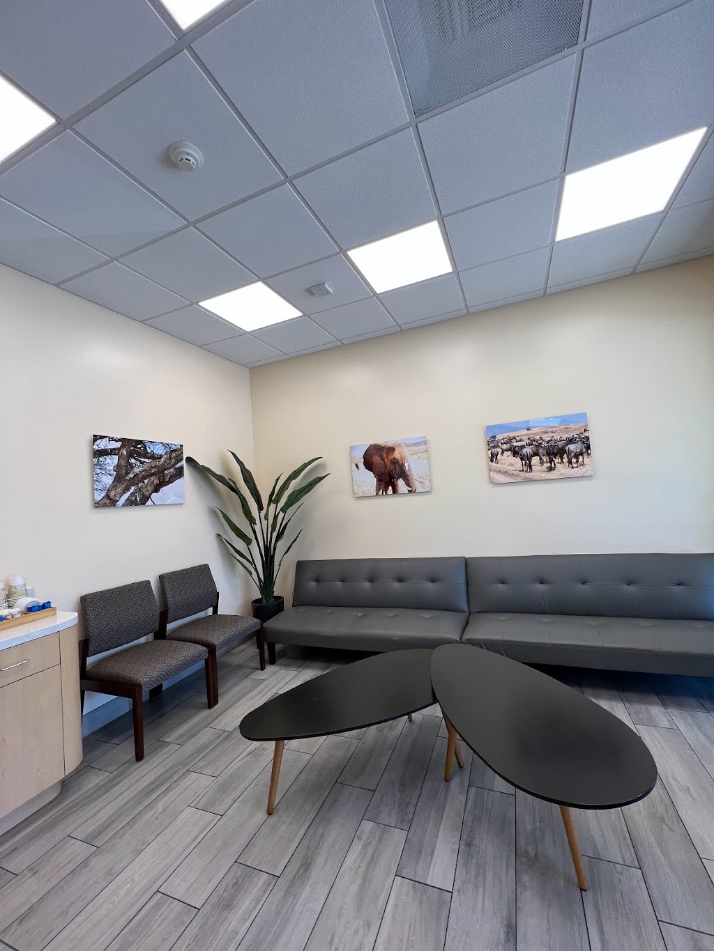 Animal Orthopedic Center | 446 N Lakeview Ave, Anaheim, CA 92807, USA | Phone: (714) 701-6720