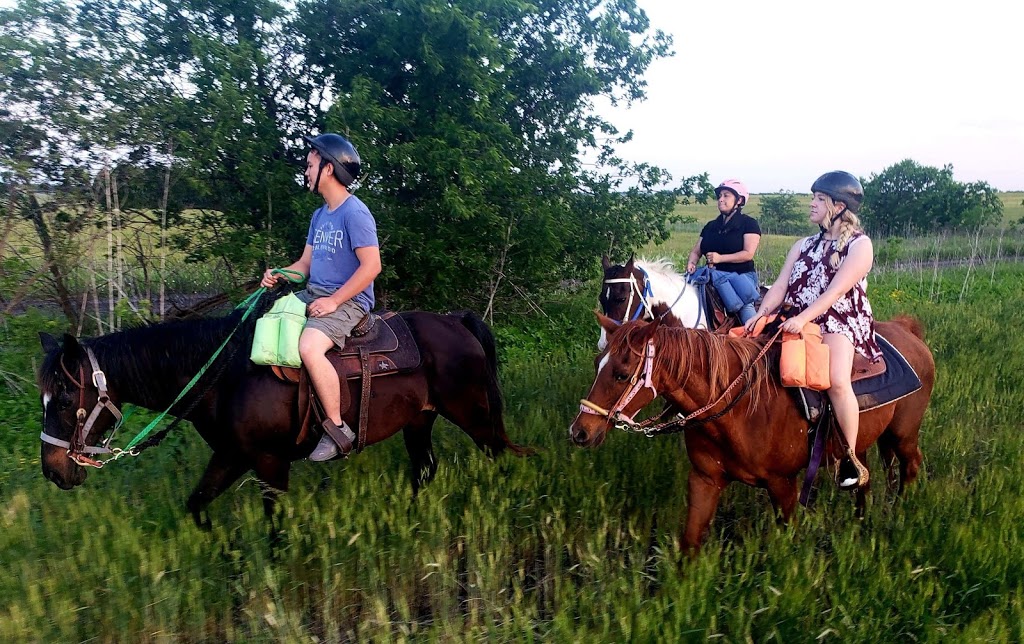 Chisholm Trail Rides | 1068 Frontier Trail, Rockwall, TX 75032, USA | Phone: (214) 584-8698