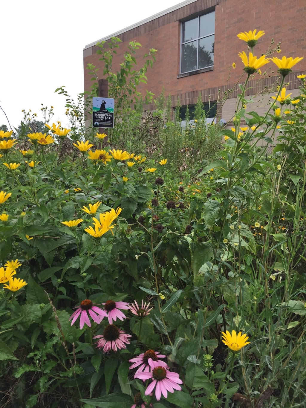 Amelia Elementary School | 5 E Main St, Amelia, OH 45102, USA | Phone: (513) 943-3800
