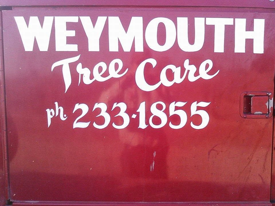 Weymouth Tree Care | 1644 W Whitesbridge Ave, Fresno, CA 93706, USA | Phone: (559) 233-1855