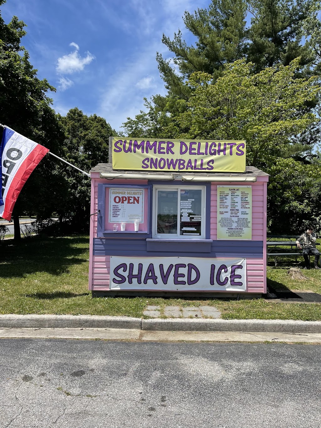 Summer Delights Snowballs | 10008 Red Run Blvd, Owings Mills, MD 21117, USA | Phone: (443) 394-9174
