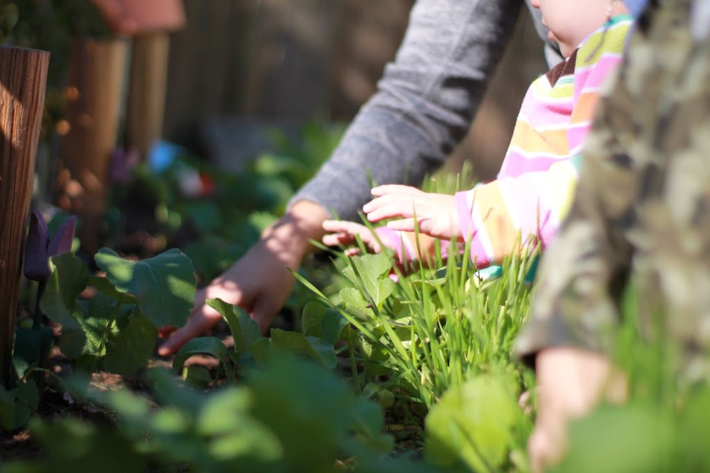 Austin Forest School | 10558 Bilbrook Pl, Austin, TX 78748, USA | Phone: (512) 998-6996