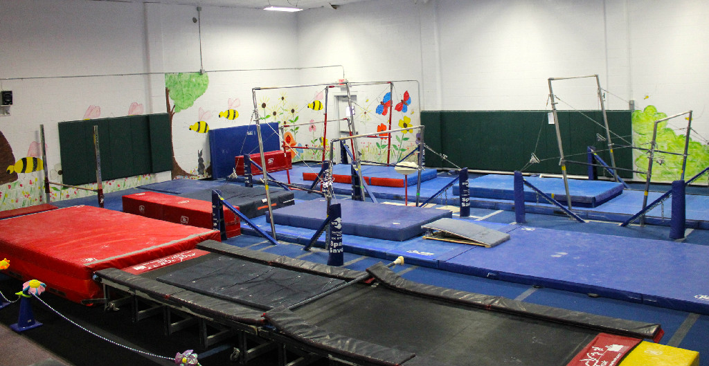 Tumble Bee Gym | 136 Evans St, Hamburg, NY 14075, USA | Phone: (716) 868-1525