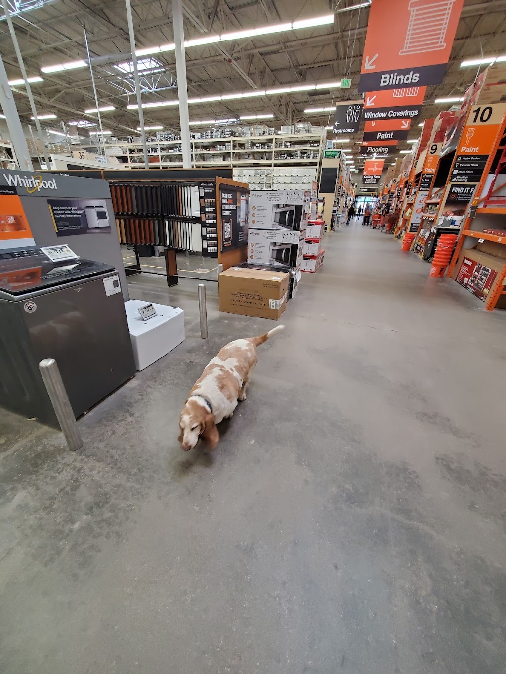 The Home Depot | 10003 Grant St, Denver, CO 80229, USA | Phone: (303) 255-8000