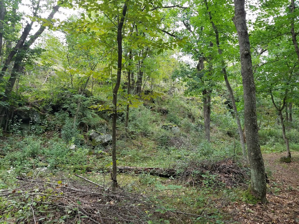 Osceola Bedrock Glades State Natural Area | County Rd S, Osceola, WI 54020, USA | Phone: (888) 936-7463