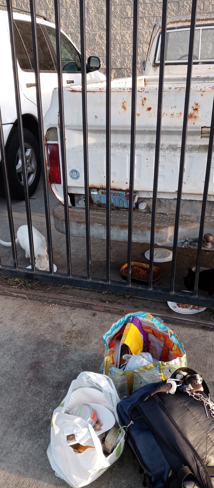 Low Cost Storage Stanton | 10850 Beach Blvd, Stanton, CA 90680, USA | Phone: (714) 826-2431