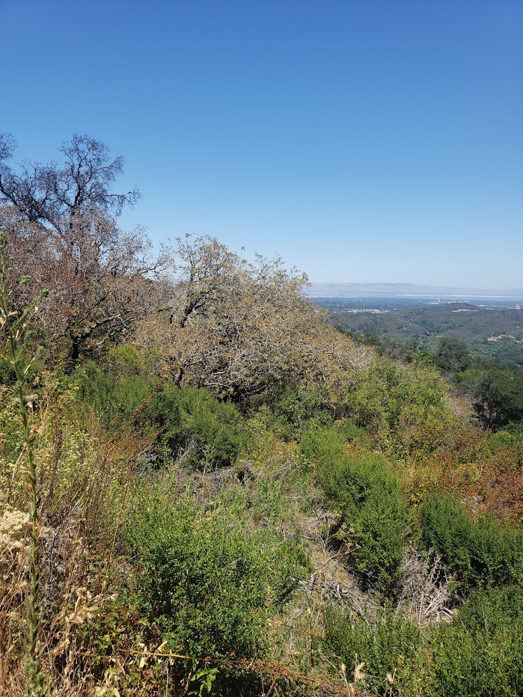 Thornewood Open Space Preserve | 21-99 Old La Honda Rd, Woodside, CA 94062, USA | Phone: (650) 691-1200