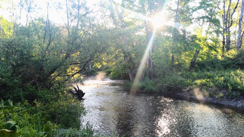 Pumpkin Hollow Retreat Center | 1184 Co Rd 11, Craryville, NY 12521, USA | Phone: (518) 325-3583