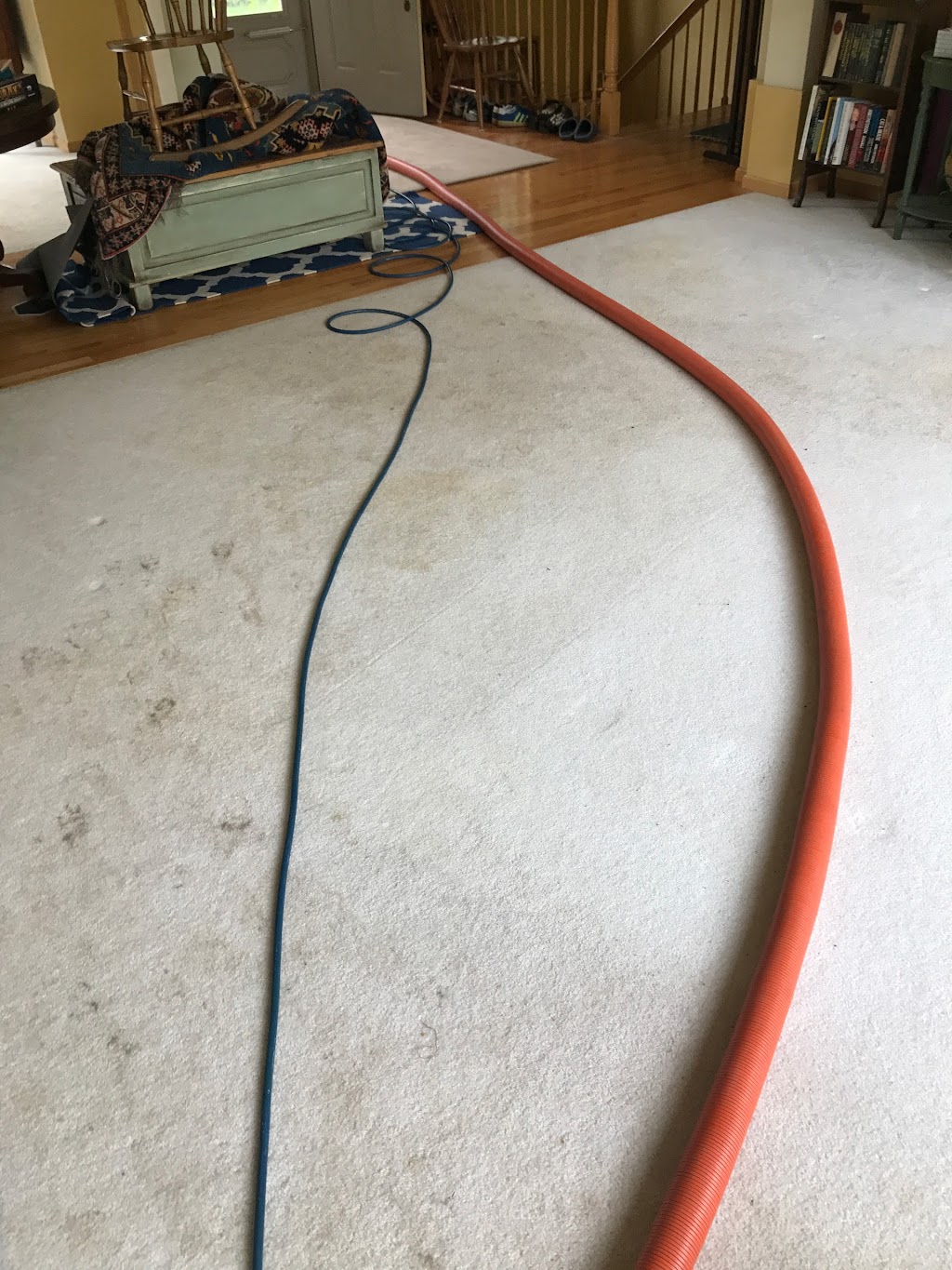 Winter Carpet Cleaning | 9466 Griggs Ave, Circle Pines, MN 55014, USA | Phone: (651) 486-8933
