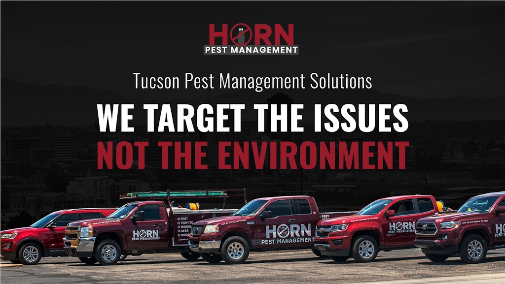 Horn Pest Management - Tucson Pest Control | 3930 E Tennessee St, Tucson, AZ 85714, USA | Phone: (520) 462-2758