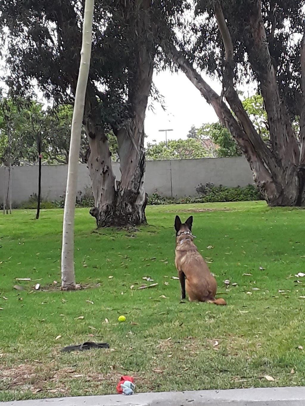 Gibbs Park | 16641 Graham St, Huntington Beach, CA 92649, USA | Phone: (714) 536-5486 Gibbs Park | 16641 Graham St, Huntington Beach, CA 92649, USA | Phone: (714) 536-5486