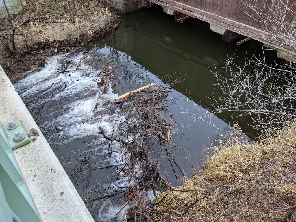 Rice Creek North Regional Trail Access | Shoreview, MN 55126, USA | Phone: (651) 266-8500