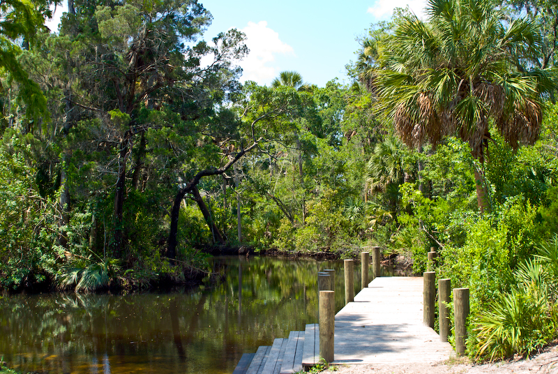 James E. Grey Preserve | 6938 Plathe Rd, New Port Richey, FL 34653, USA | Phone: (727) 841-4560