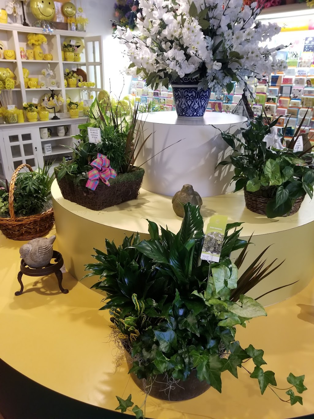 Thrifty Florist | 211 S Telegraph Rd, Pontiac, MI 48341, USA | Phone: (248) 333-0791