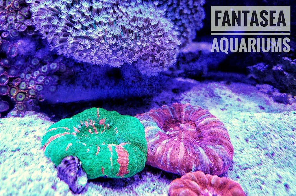 FantaSEA Aquariums | Aquarium Design, Installation, and Service | 630 W Bay Front Rd, Lothian, MD 20711, USA | Phone: (443) 234-0912