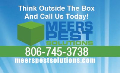Meers Pest Solutions | 9606 HWY 87, Lubbock, TX 79423, USA | Phone: (806) 745-3738